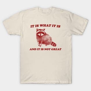 It Is What It Is And It Is Not Great, Funny Sweatshirt, Raccoon Sweatshirt, Cartoon Meme Top, Vintage Cartoon T-Shirt